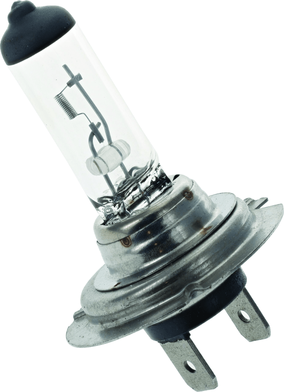 BikeMaster H-7 Halogen Bulb - Powersports Haven