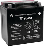 Yuasa YIX30L-BS High Performance Maintenance Free AGM 12-Volt Battery w/Bottle