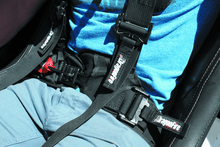 Load image into Gallery viewer, DragonFire Racing Harness Evo- Black - Powersports Haven