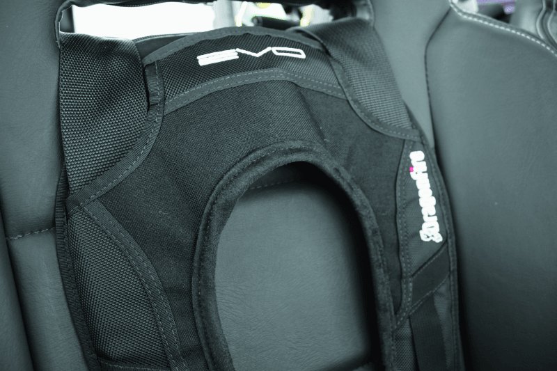 DragonFire Racing Harness Evo- Black - Powersports Haven