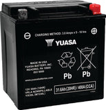Yuasa YIX30L Maintenance Free AGM 12-Volt Battery
