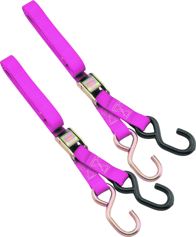BikeMaster 1in Tiedown - Pink - Powersports Haven
