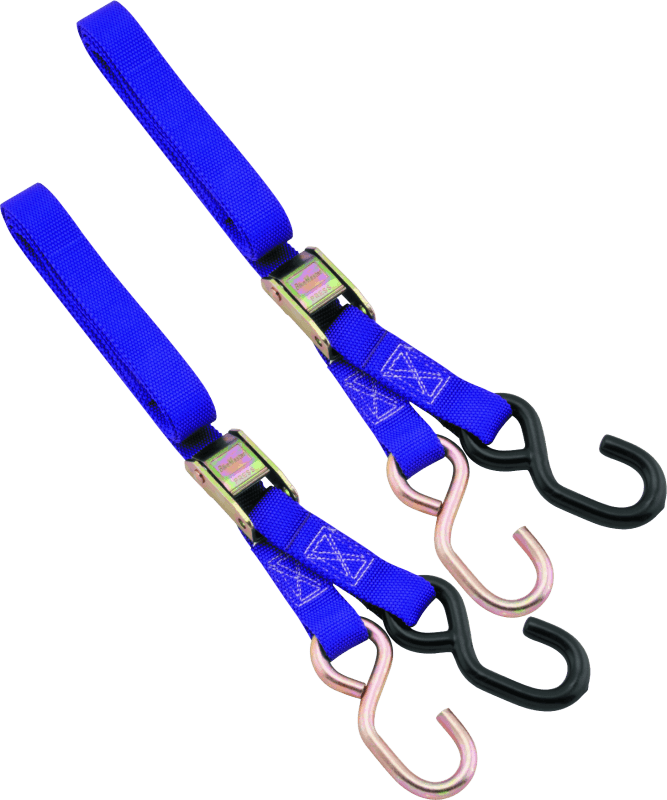 BikeMaster 1in Tiedown - Purple - Powersports Haven