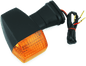 BikeMaster Kawasaki Turn Signal - Front - Powersports Haven