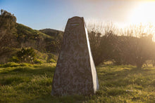 Load image into Gallery viewer, User 5