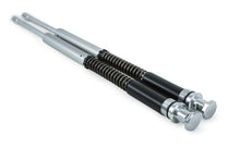 Load image into Gallery viewer, User 1