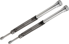 Load image into Gallery viewer, Photo - Primary