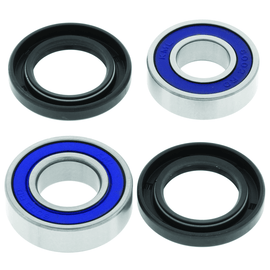 QuadBoss 06-20 Can-Am DS 250 Lower Steering Bearing Kit - Powersports Haven