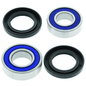 QuadBoss 06-20 Can-Am DS 250 Lower Steering Bearing Kit - Powersports Haven