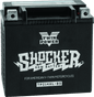 Twin Power YTX-14L Shocker Battery Replaces H-D 65958-04 220 CCA - Powersports Haven