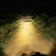 Load image into Gallery viewer, Photo - Primary