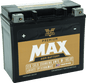 Twin Power GYZ-20HL Premium MAX Battery Replaces H-D 65989-97A Made in USA 320 CCA - Powersports Haven