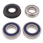 All Balls Racing 2006 Ski-Doo Freestyle 300F Drive Shaft Bearing & Seal Kit Lower Shaft - Track - Powersports Haven