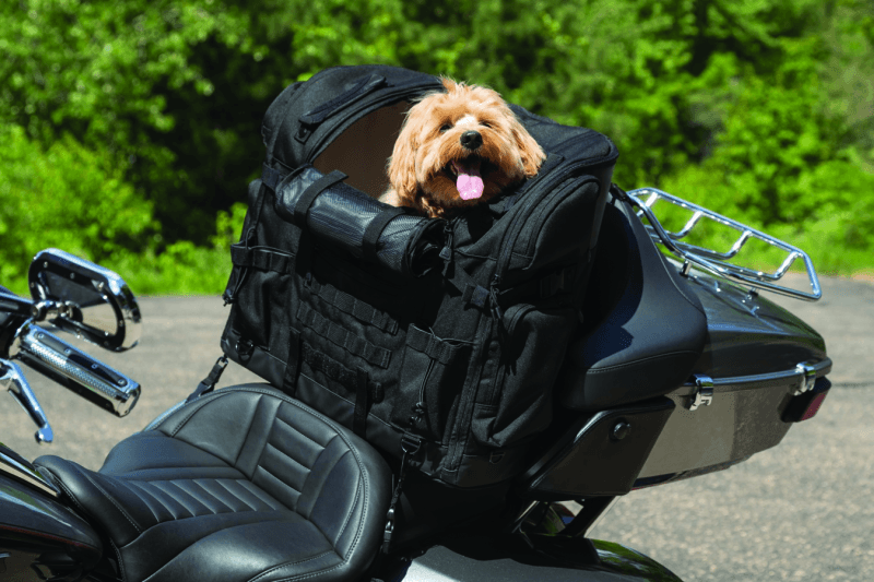 Kuryakyn Pet Palace Titan - Powersports Haven