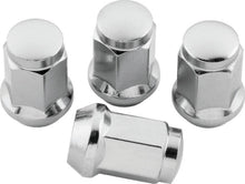 Load image into Gallery viewer, Photo - Primary