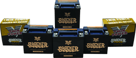 Twin Power YTX-14L Shocker Gel Battery Replaces H-D 65958-04 220 CCA - Powersports Haven