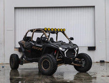 Load image into Gallery viewer, Photo - Close Up