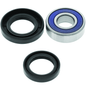 QuadBoss 07-14 CFMOTO CForce 500 Lower Steering Bearing Kit - Powersports Haven