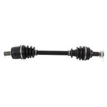 Load image into Gallery viewer, Photo - Primary