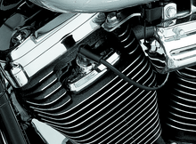 Load image into Gallery viewer, Kuryakyn Spark Plug &amp; Head Bolt Covers Evolution Motors &amp; 86-03 XL Models - Powersports Haven