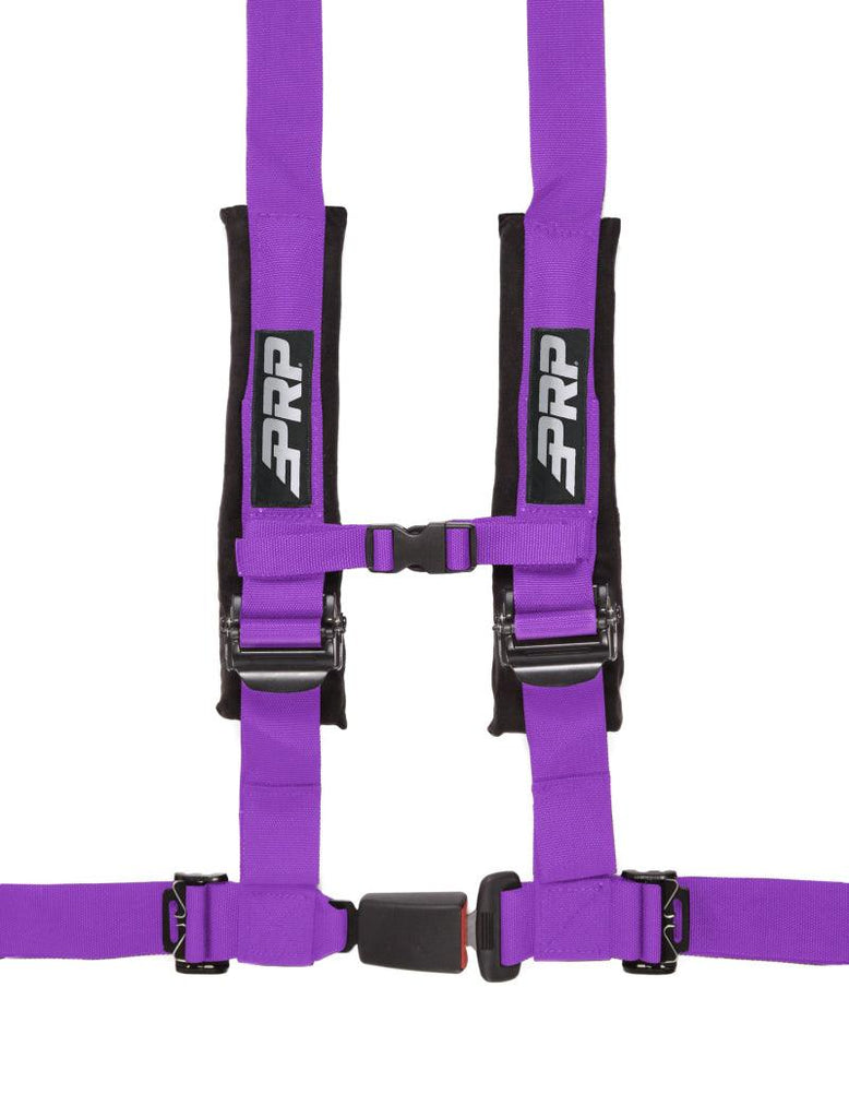 PRP 4.2 Harness- Purple - Powersports Haven