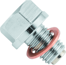 Load image into Gallery viewer, BikeMaster Magnetic Oil Drain Plug 12mm - Stainless - Powersports Haven