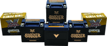 Load image into Gallery viewer, Twin Power YTX-14L Shocker Gel Battery Replaces H-D 65958-04 220 CCA - Powersports Haven
