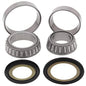 All Balls Racing 14-16 Honda NSS300 Steering Bearing Kit - Powersports Haven