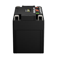 Load image into Gallery viewer, User 1