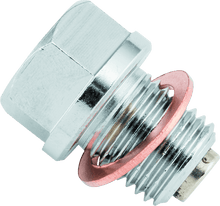 Load image into Gallery viewer, BikeMaster Magnetic Oil Drain Plug 14mm - Stainless - Powersports Haven