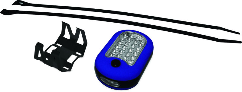 DragonFire Racing Lighted Switch LED Dome Light Kit - Blue - Powersports Haven