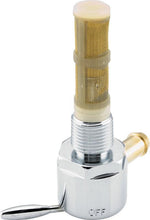 Load image into Gallery viewer, Photo - Primary