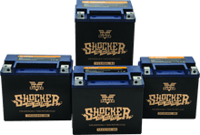 Load image into Gallery viewer, Twin Power YTX-14L Shocker Gel Battery Replaces H-D 65958-04 220 CCA - Powersports Haven
