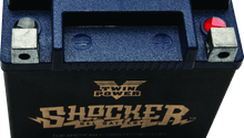 Load image into Gallery viewer, Twin Power YTX-14L Shocker Gel Battery Replaces H-D 65958-04 220 CCA - Powersports Haven