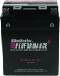 BikeMaster BTX14AHL-BS Battery - Powersports Haven