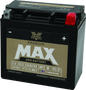 Twin Power GYZ-16HL Premium MAX Battery Replaces H-D 65958-04 Made in USA 240 CCA - Powersports Haven