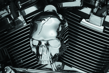 Load image into Gallery viewer, Kuryakyn Skull Horn Cover 17-Up With Waterfall Style Horn Chrome - Powersports Haven