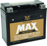 Twin Power GYZ-20H Premium MAX Battery Replaces H-D 65991-82B Made in USA 320 CCA